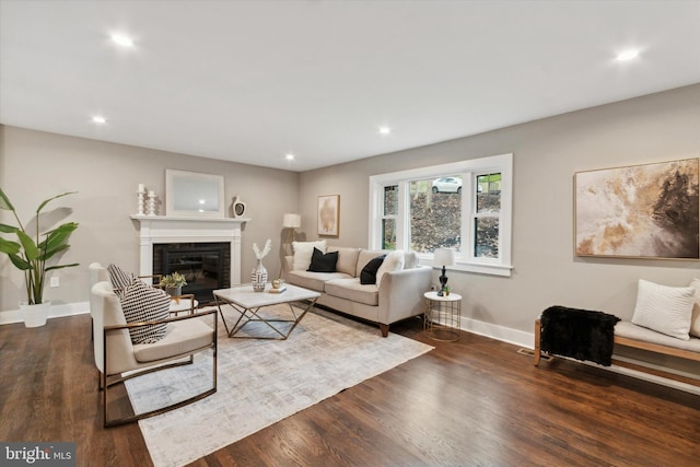 living room featuring a fireplace and dark wood-type flooring