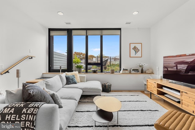 living room with wood-type flooring