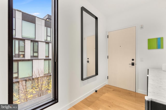 doorway to outside featuring light hardwood / wood-style flooring and a wealth of natural light