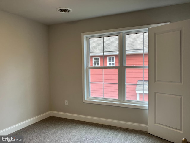 empty room with carpet flooring and a wealth of natural light