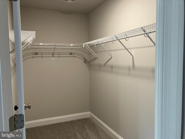 spacious closet featuring dark carpet