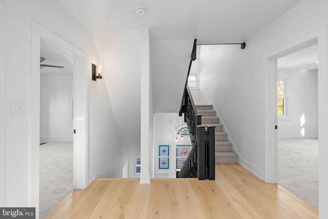 stairs with ceiling fan and wood-type flooring