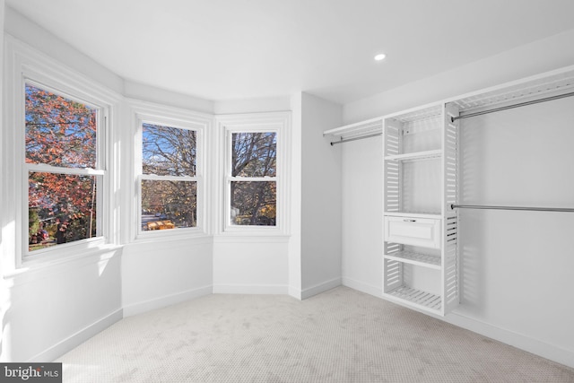 spacious closet with light carpet