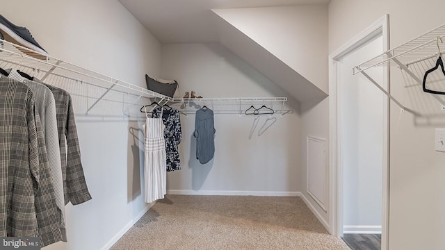 walk in closet with carpet floors