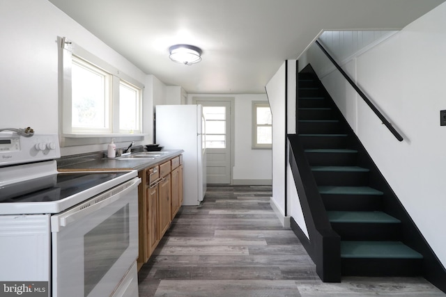 kitchen featuring hardwood / wood-style floors, white appliances, plenty of natural light, and sink