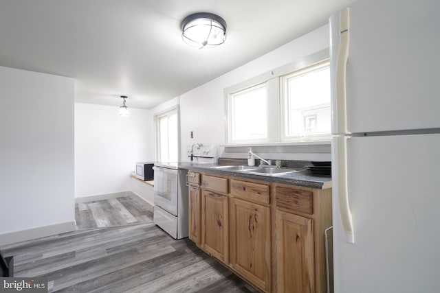 kitchen featuring sink, wood-type flooring, and white appliances