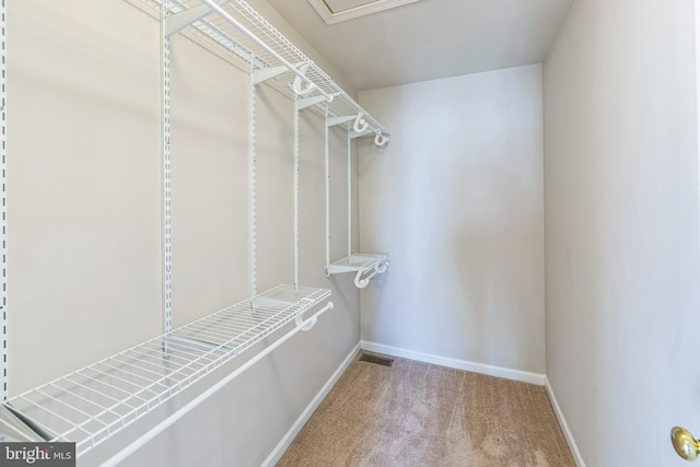 walk in closet with carpet flooring