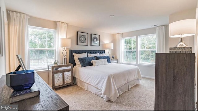 carpeted bedroom with multiple windows