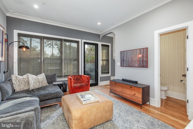 living room featuring crown molding and light hardwood / wood-style floors