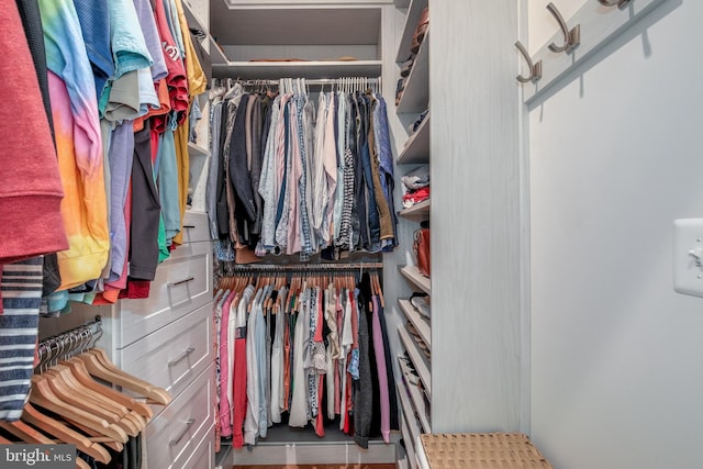 view of walk in closet