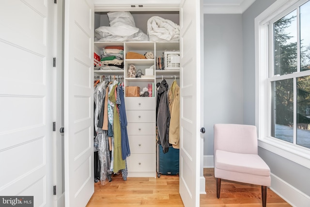 view of closet