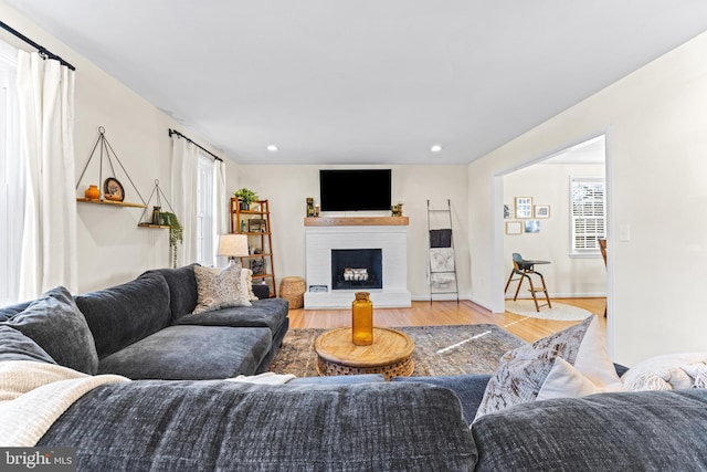 living room with light hardwood / wood-style flooring