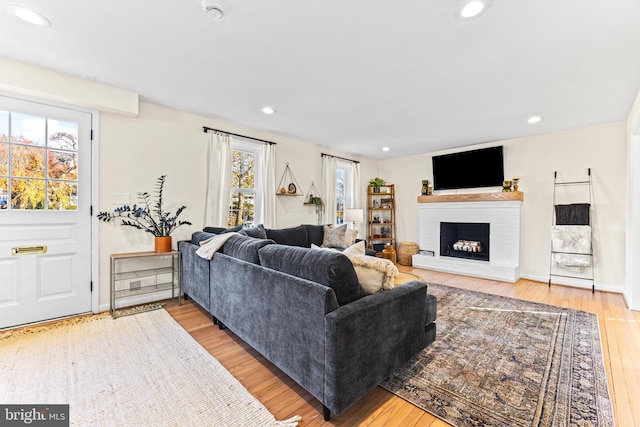 living room featuring a fireplace, light hardwood / wood-style floors, and plenty of natural light