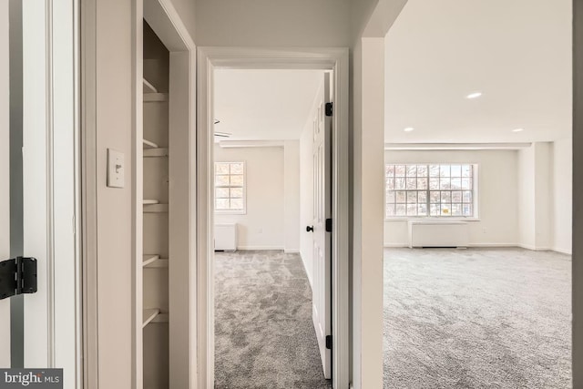 hall featuring carpet, built in features, and a wealth of natural light