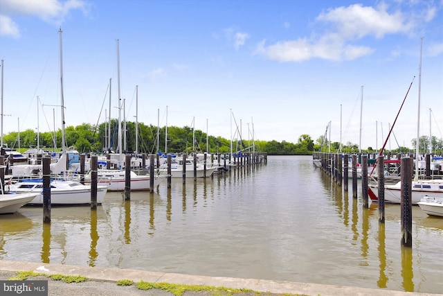 dock area with a water view