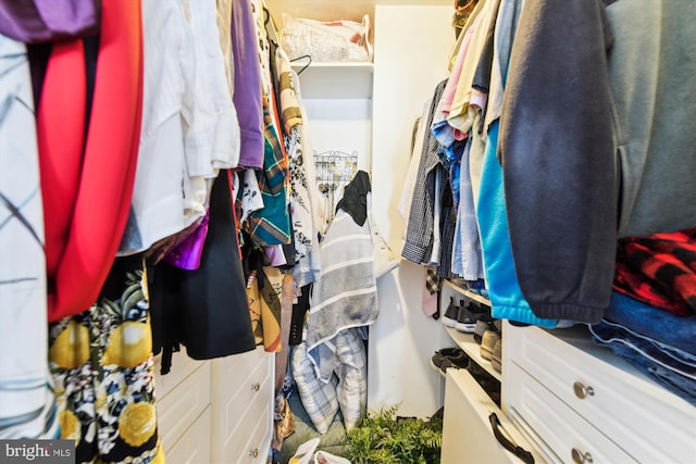 view of spacious closet