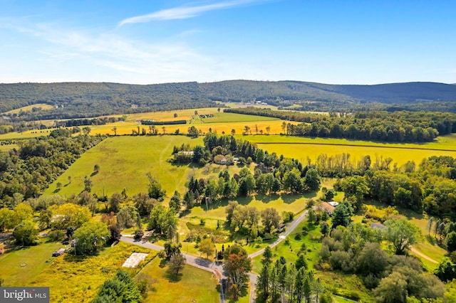 bird's eye view featuring a mountain view