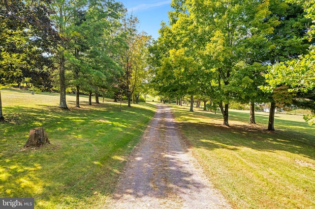 view of road