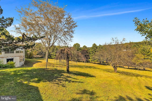 view of yard