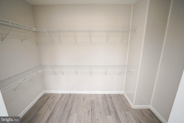 walk in closet featuring hardwood / wood-style floors