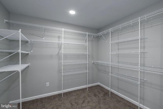 spacious closet featuring dark colored carpet