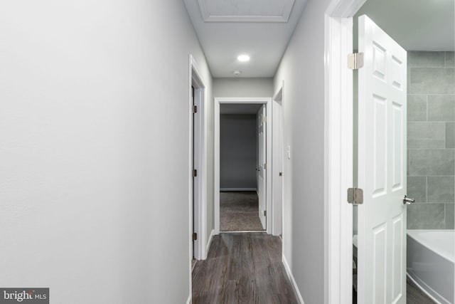 corridor with dark hardwood / wood-style flooring