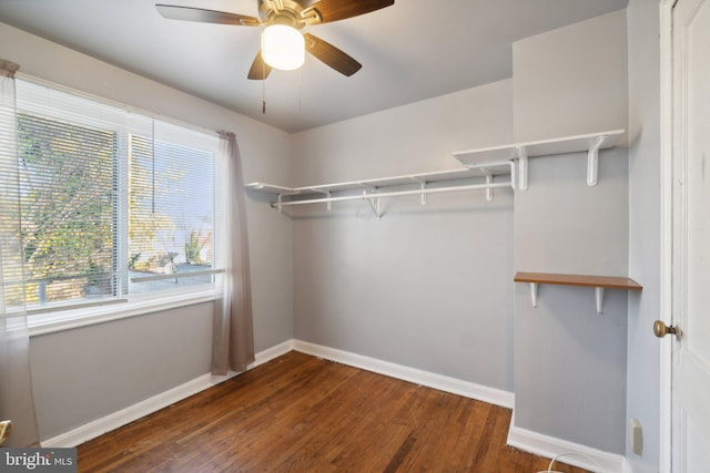 walk in closet with dark hardwood / wood-style floors and ceiling fan