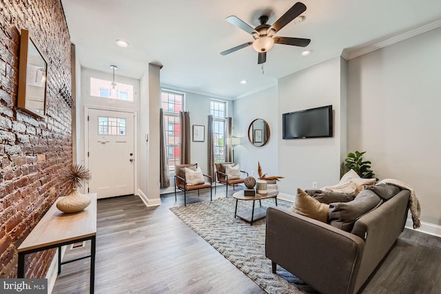 living room with crown molding, hardwood / wood-style floors, and ceiling fan