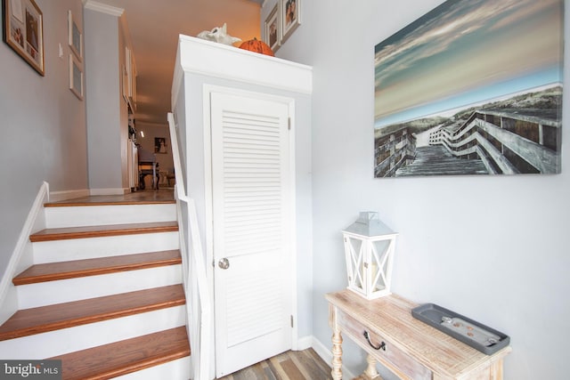 stairway featuring wood-type flooring