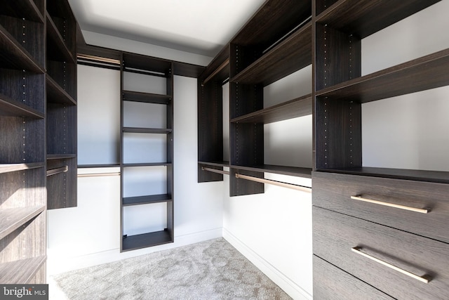 spacious closet featuring light colored carpet