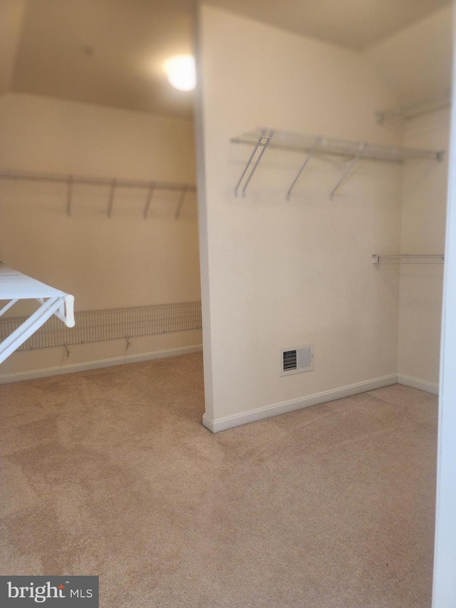 walk in closet with light colored carpet