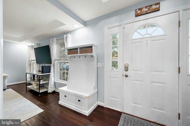 mudroom featuring dark hardwood / wood-style flooring