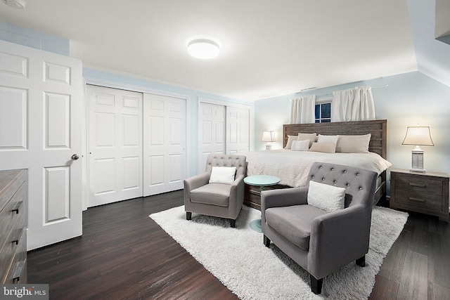 bedroom with lofted ceiling, dark hardwood / wood-style floors, and multiple closets