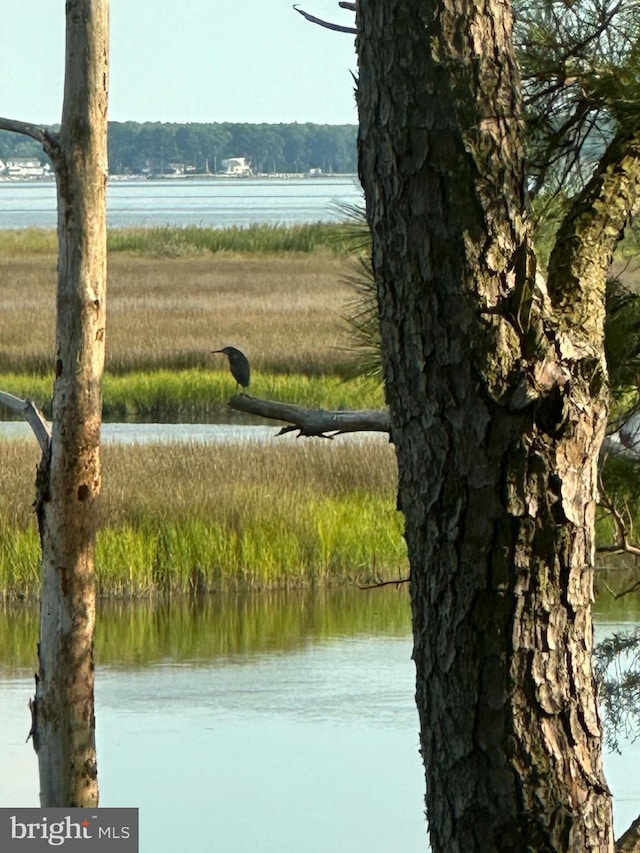 water view