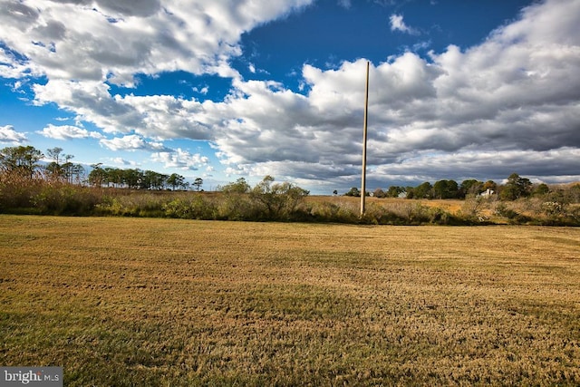 view of local wilderness with a rural view