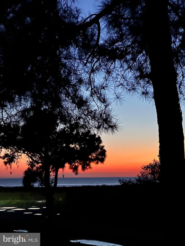 nature at dusk with a water view