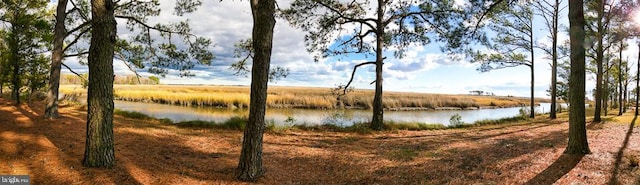 view of water feature