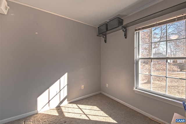 spare room featuring a wealth of natural light, light carpet, and ornamental molding