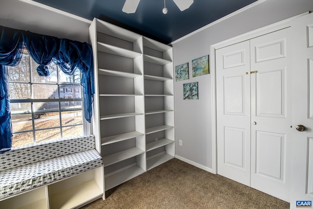 walk in closet with carpet flooring and ceiling fan