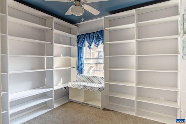 spacious closet featuring carpet flooring and ceiling fan