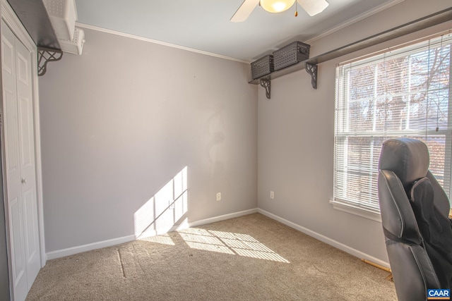 office area with a wealth of natural light, crown molding, ceiling fan, and light carpet