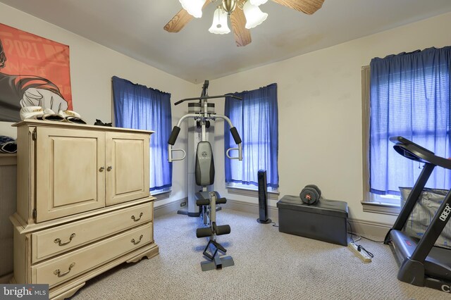 exercise room featuring a wealth of natural light, ceiling fan, and light carpet