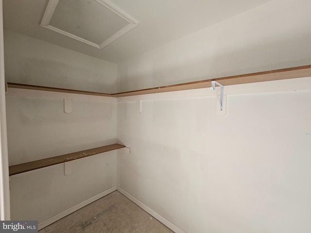 view of spacious closet