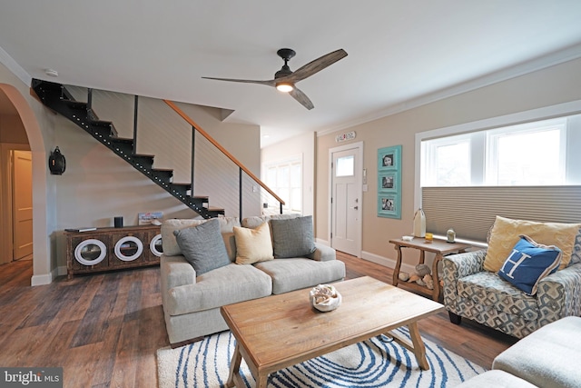 living room with crown molding, ceiling fan, and dark hardwood / wood-style flooring