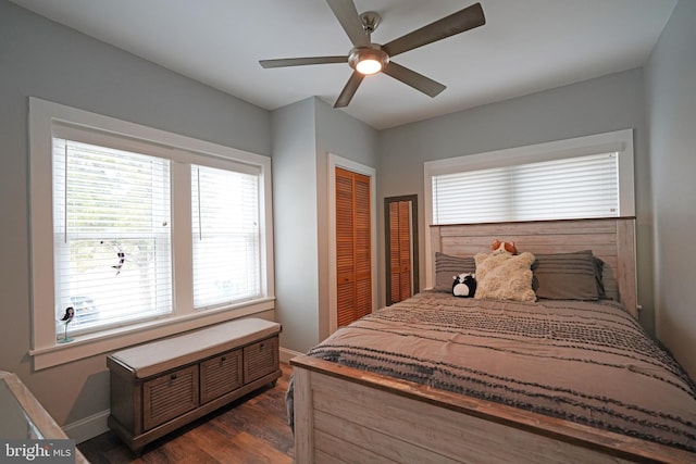 bedroom featuring ceiling fan, dark hardwood / wood-style flooring, and a closet