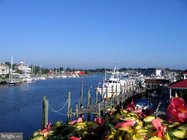 dock area featuring a water view