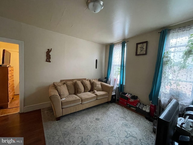 living room with hardwood / wood-style flooring