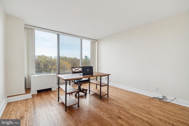 home office featuring light hardwood / wood-style floors