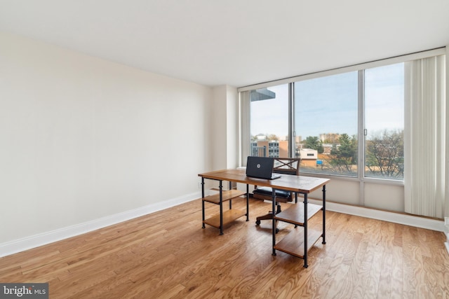 office featuring light hardwood / wood-style flooring