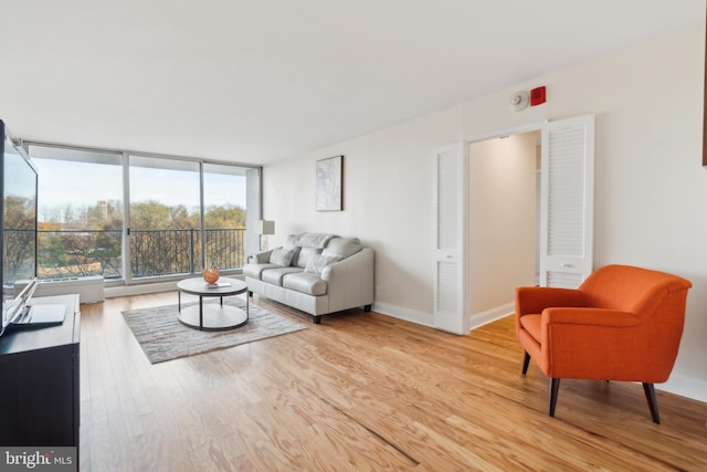 living room featuring light hardwood / wood-style floors